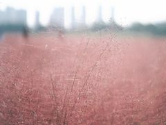 -尚贤河湿地