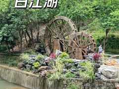 -广州白江湖森林公园