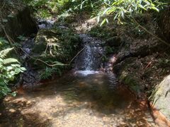 -羚羊峡古栈道森林公园