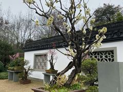 -杭州植物园
