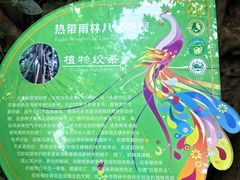 -西双版纳原始森林公园