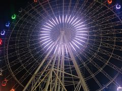 -琴岛之星摩天轮