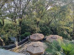 -平湖九龙山旅游度假区