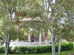 -玲珑塔公园