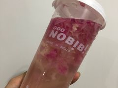 -NOBiBi