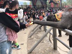 -云南民族村