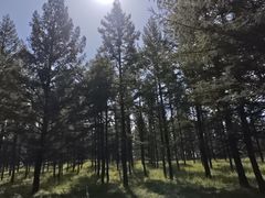 -塞罕坝国家级自然保护区