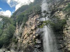 -青峰峡国家森林公园