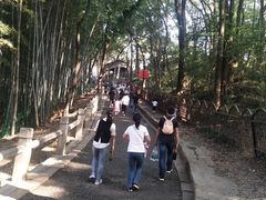 -灵岩山风景区