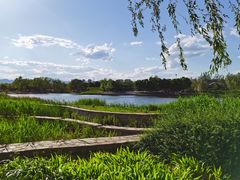 -永定河休闲森林公园