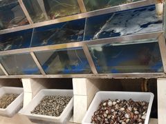 水产区-宾朋海鲜特色美食餐厅·纯手工鲅鱼水饺(兴海路店)