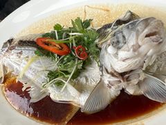 -八仔大富楼·河鲜(西江店)