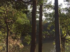 -红花湖景区