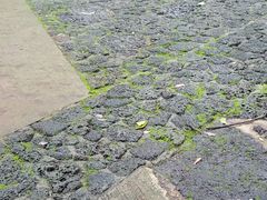 -海口火山口国家地质公园