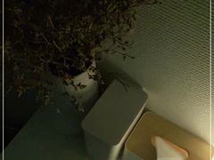 -LANN I 蘭 SPA(陆家嘴中心店)