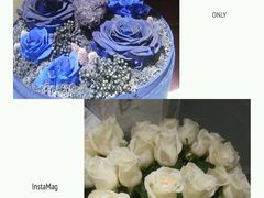 android_upload_pic-ROSEONLY诺誓(青岛万象城店)