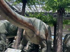 -国家自然博物馆