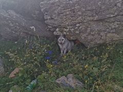 -灵山