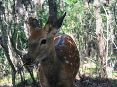 -大连森林动物园