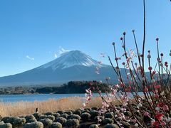 -富士山吉田線五合目