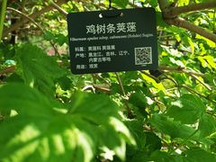 -国家植物园南园