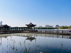 -莲花池公园