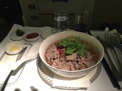 -新加坡航空公司(ION)