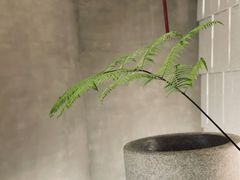 -二酉书店TOYOU BOOKS