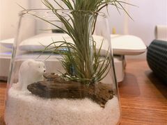 -白熊咖啡(闽江大道店)