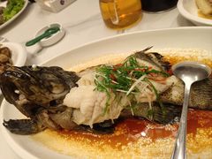 -紫丁香饭店-中餐厅