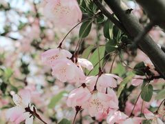 -荆川公园