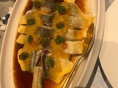 黄椒酱蒸大黄鱼-MD日越生辉铁板烧(海运堤店)