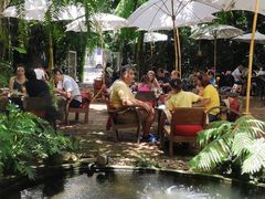 -Fern Forest Cafe