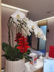 -Yestar杭州艺星医疗美容医院