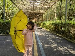 -广东茂名森林公园