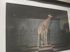 -江苏省美术馆(长江路新馆)