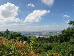 -铁山坪森林公园