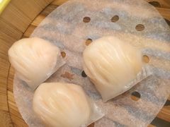 -维多利亚大酒店·雅园中餐厅