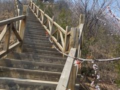 -大岭沟猕猴桃谷风景区