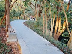 -金鸡山公园