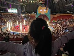 -俄罗斯国家大马戏团