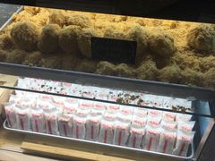 -鲍师傅糕点(春熙路店)