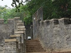 -保定市动物园