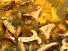 -山人野生菌餐厅