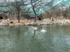 -唆了蜜团建·趣味沉浸式剧情·蹦床轰趴运动拓展基地(天津旗舰店)