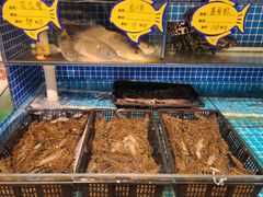 -韩记海鲜饺子旗舰店(红海新区店)