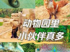 -杭州野生动物世界