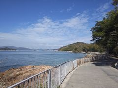 -长洲岛