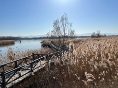 -野鸭湖国家湿地公园