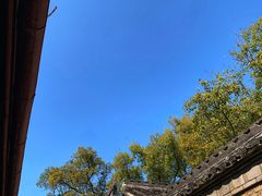 -天一阁博物院